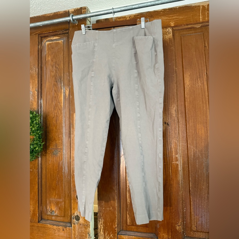 Chic Skinny Pants in Beige